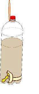 مصيدة فراشات ديدان الشمع