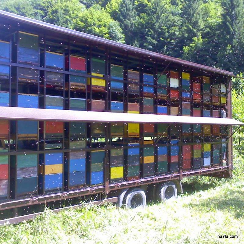 mobile apiary