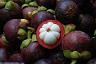 mangosteen